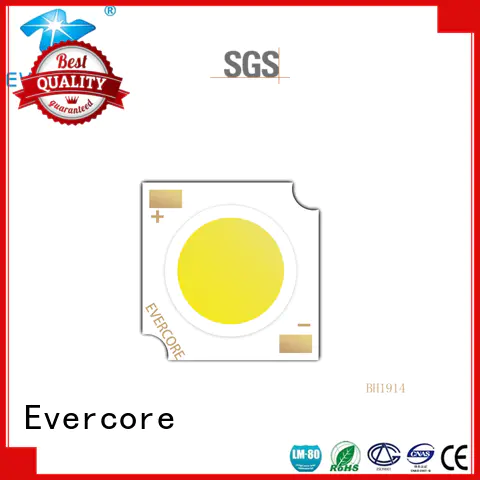 Evercore wholesale smd led chip Asia company for dealer
