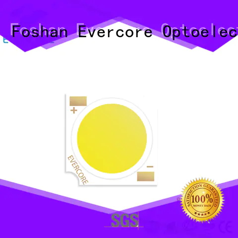Evercore Low cost rgb cob led manufacturer for sale