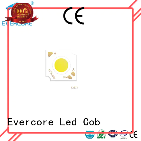 Evercore long lifespan 2 color led manufacturer for sale