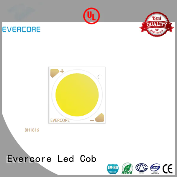 green Led Cob Chip front supplier for distribution