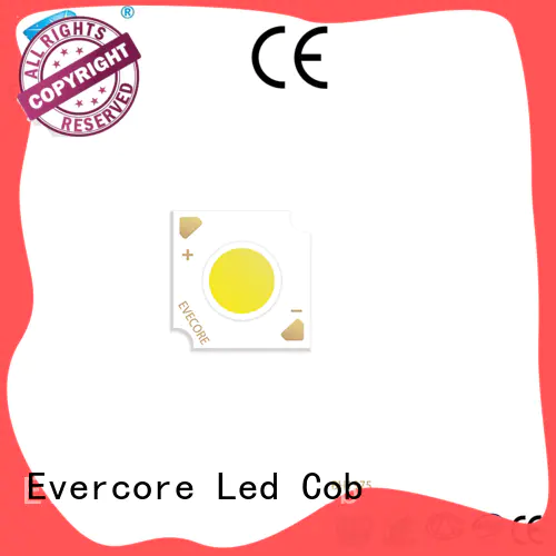 Evercore led chip cob Asia company for reseller