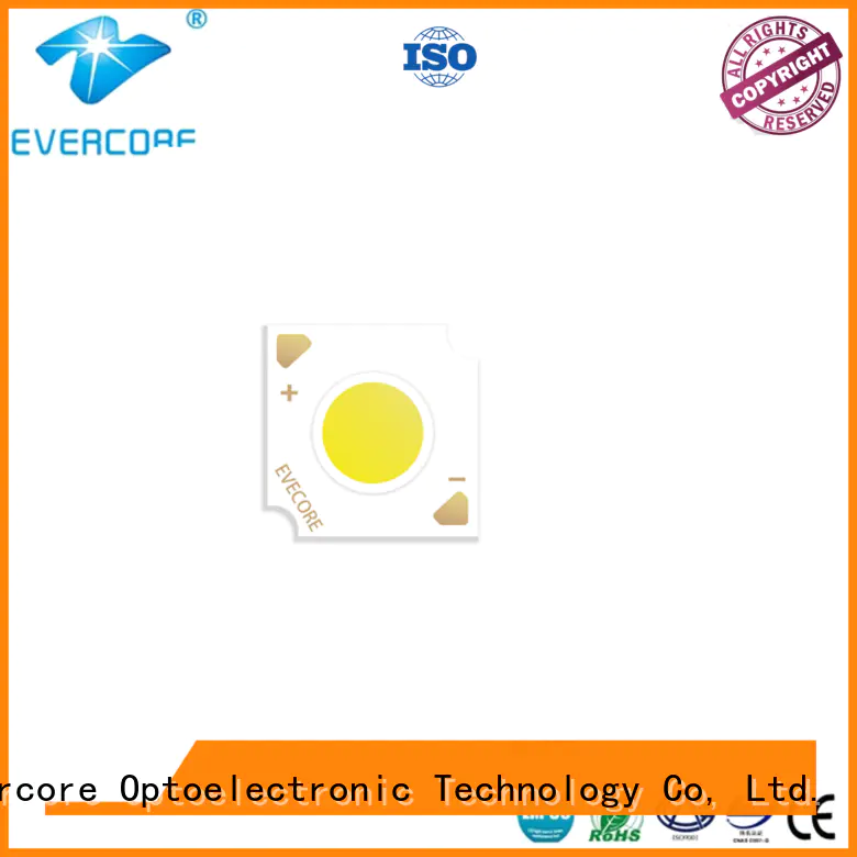 Evercore wholesale chip cob from China for reseller