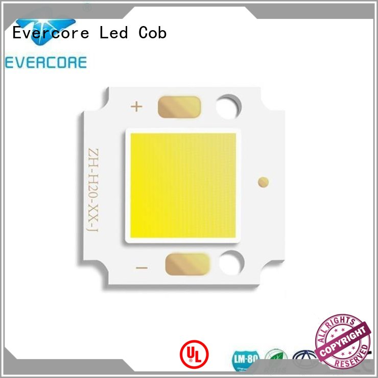 LED COB for outdoor small flood light /Garden lamp (OH2011) 10W