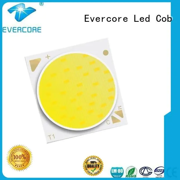 led Quality coloring led lights Evercore Brand led two color led cob