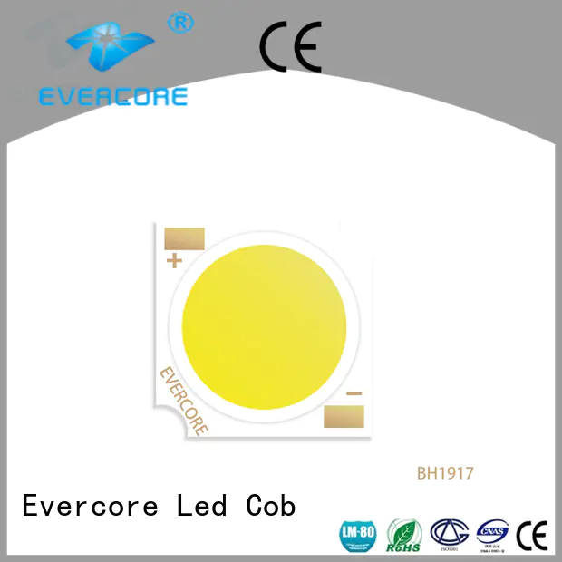 Evercore cheap rgb cob led supplier for distribution