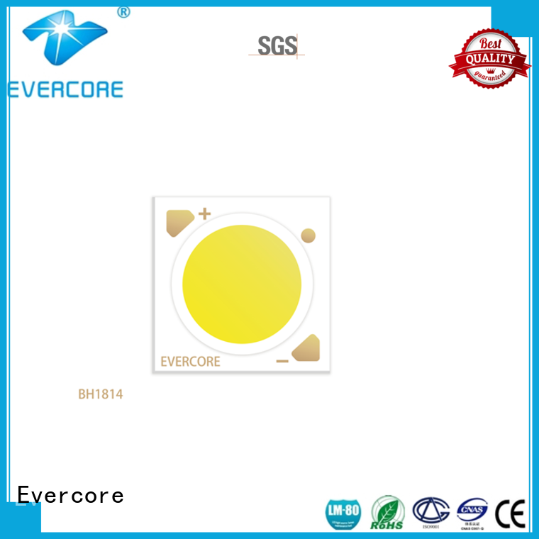 Evercore he150 Led Cob Chip factory for distribution