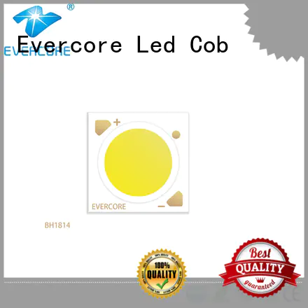 Evercore down led downlight kit overseas market for distribution