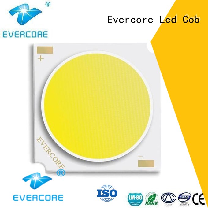 cob Universal Evercore Brand Cob Led Module