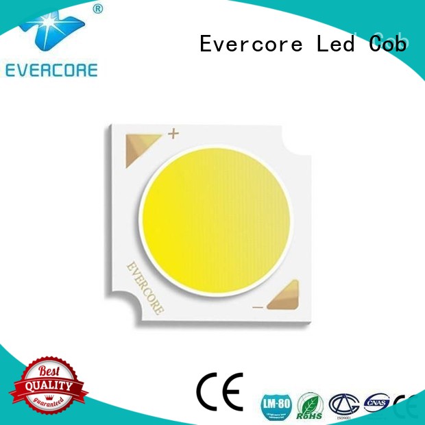 Hot rgb cob led modules Evercore Brand