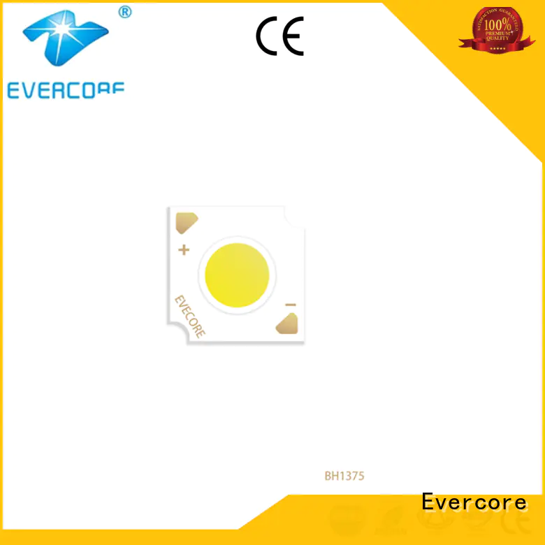 Evercore led cob led chip factory for sale