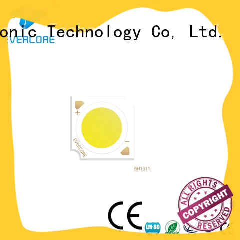 Evercore affordable downlight cob overseas market for market