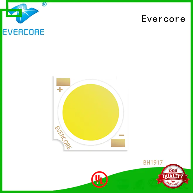Evercore bh16105 led downlight kit customized for market