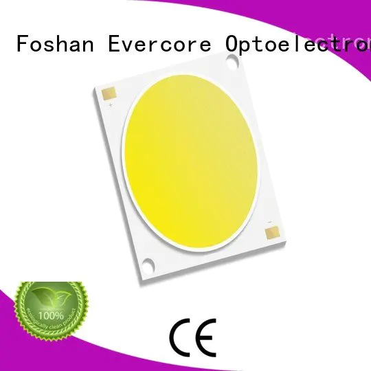 Quality high lighting efficiency Evercore Brand cob Cold light