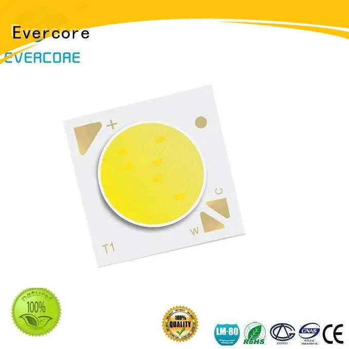 coloring led lights cob led two color led Evercore Warranty