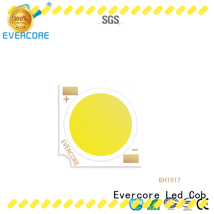 Evercore green Cob Led factory for distribution