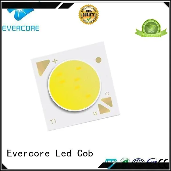 coloring led lights led cob two color led Evercore Brand