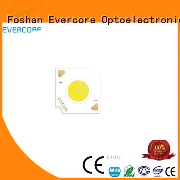 Evercore stable supply cob led chip from China for sale