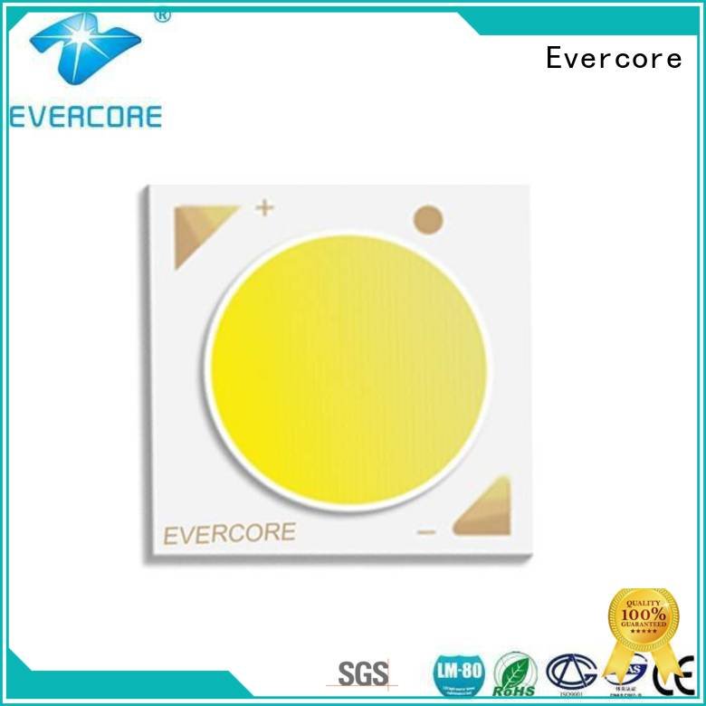 Evercore Brand color linear custom commercial  lighting cob leds