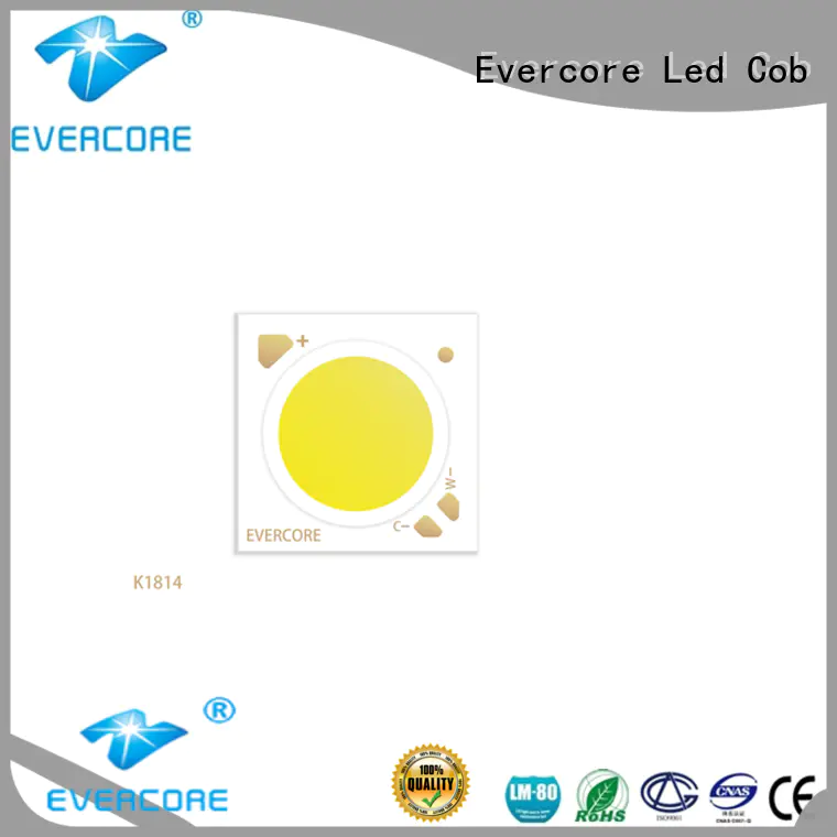 Evercore bk1914 led color manufacturer for distribution
