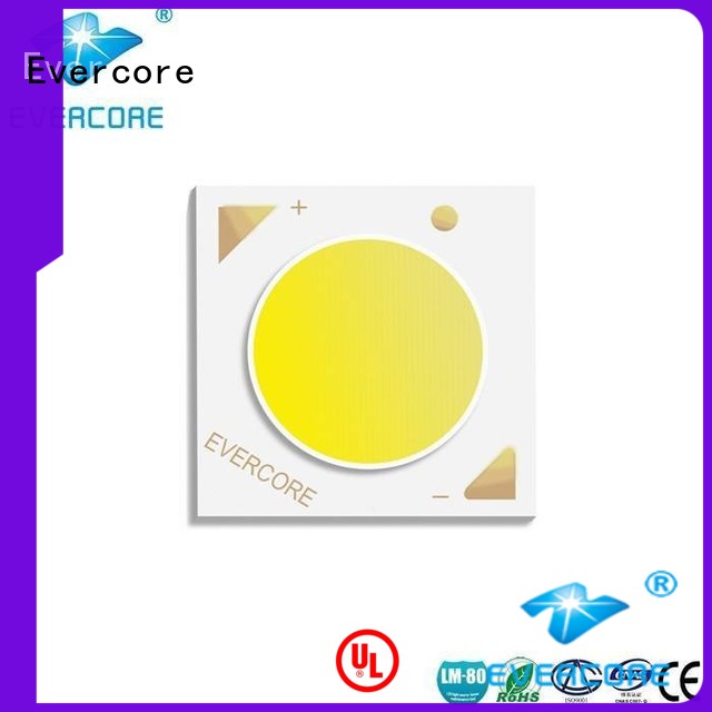 commercial  lighting cob leds High lumens Universal 10W Evercore Brand