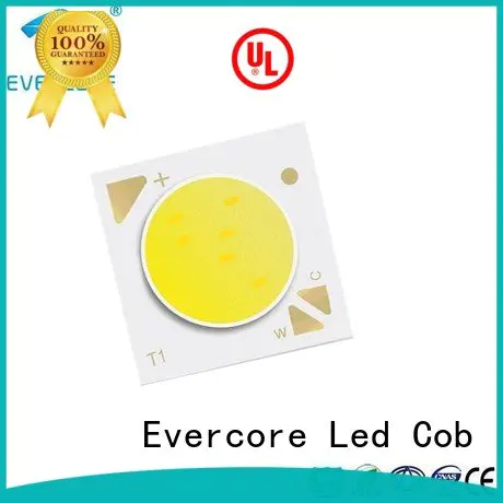 Evercore led cob two color led cob cob