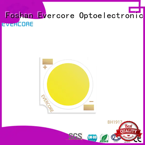 Evercore cheap Led Cob Chip manufacturer for sale