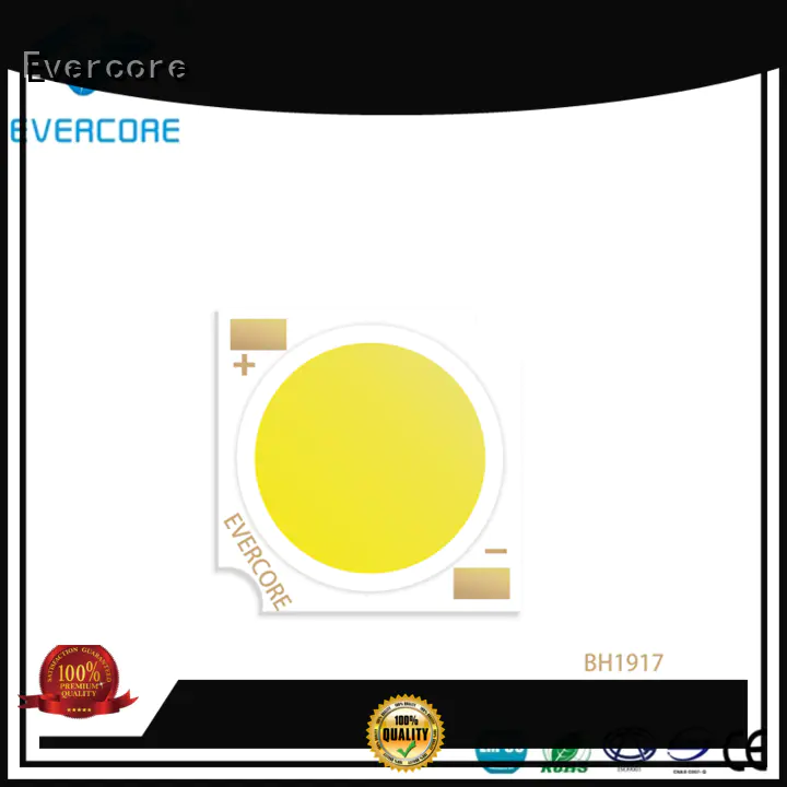 Evercore professional leds modules customized for sale
