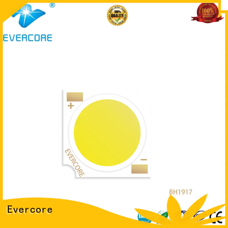 Evercore bd13105 cob led chip Asia company for sale
