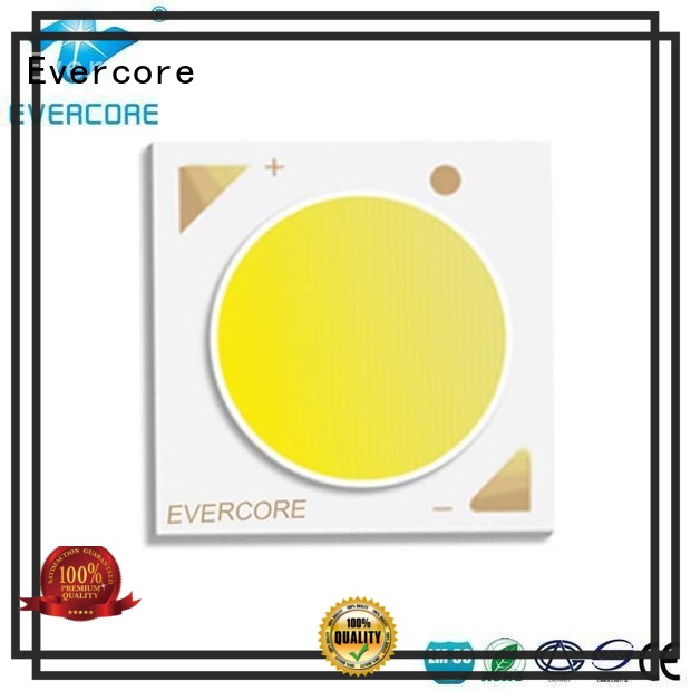 Quality Evercore Brand modules rgb cob led