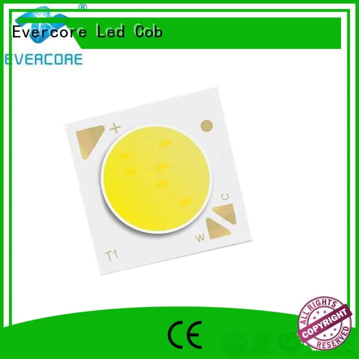 Quality coloring led lights Evercore Brand led two color led