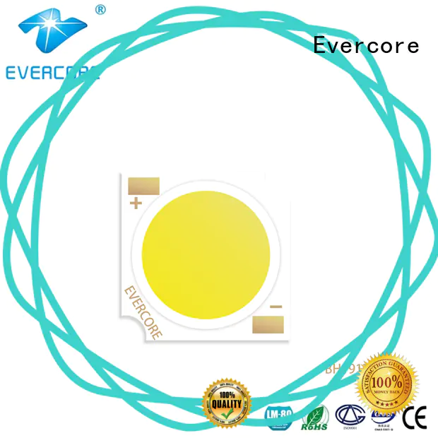 Evercore stable supply cob led chip factory for dealer