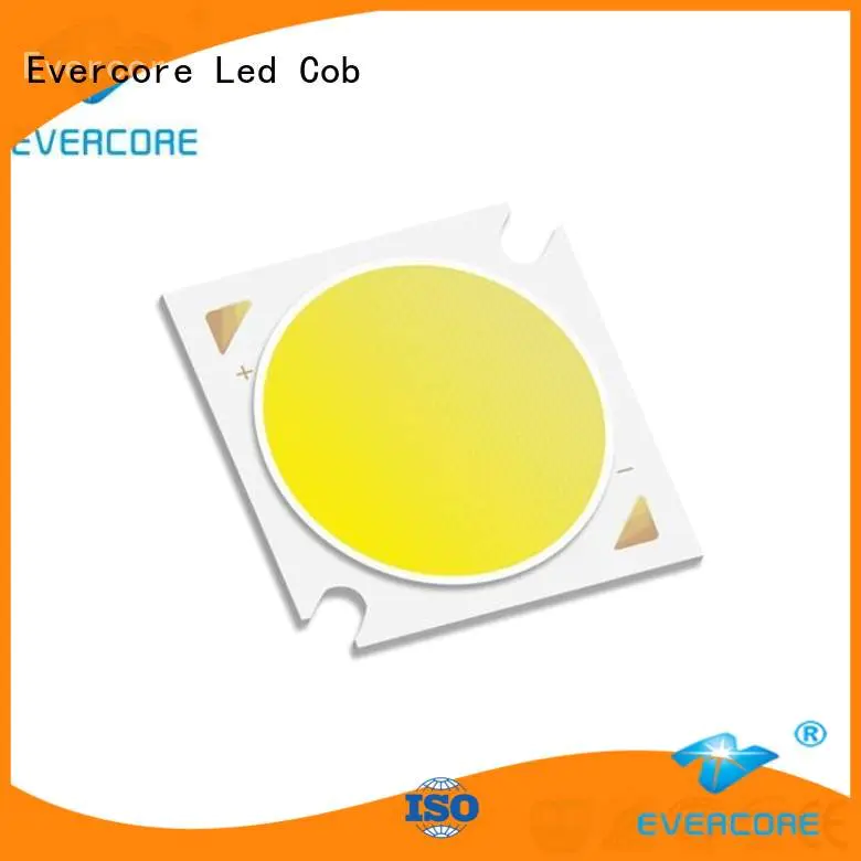 Evercore Brand cob high cri cobs led manufacturer led led cob
 led