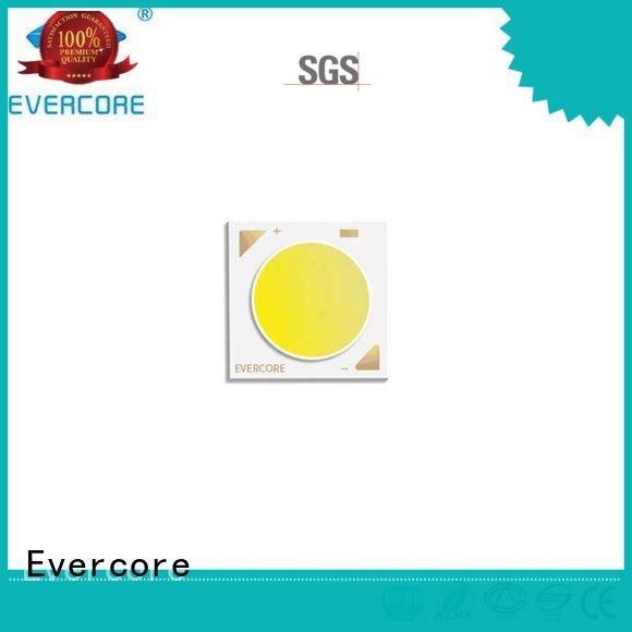 Evercore 2700k6000k two color led bulk production for distribution