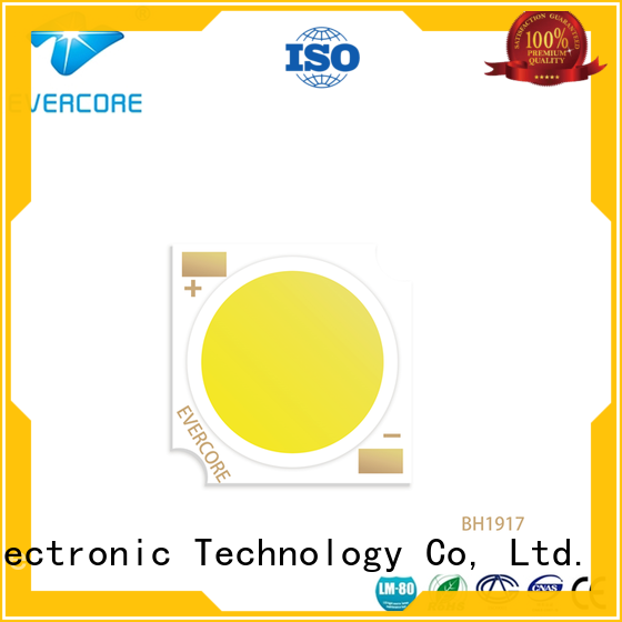 Evercore h18 rgb cob led factory for lighting