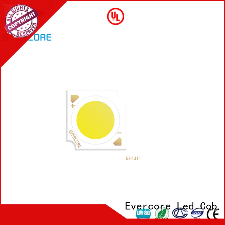 Evercore led smd led chip from China for sale