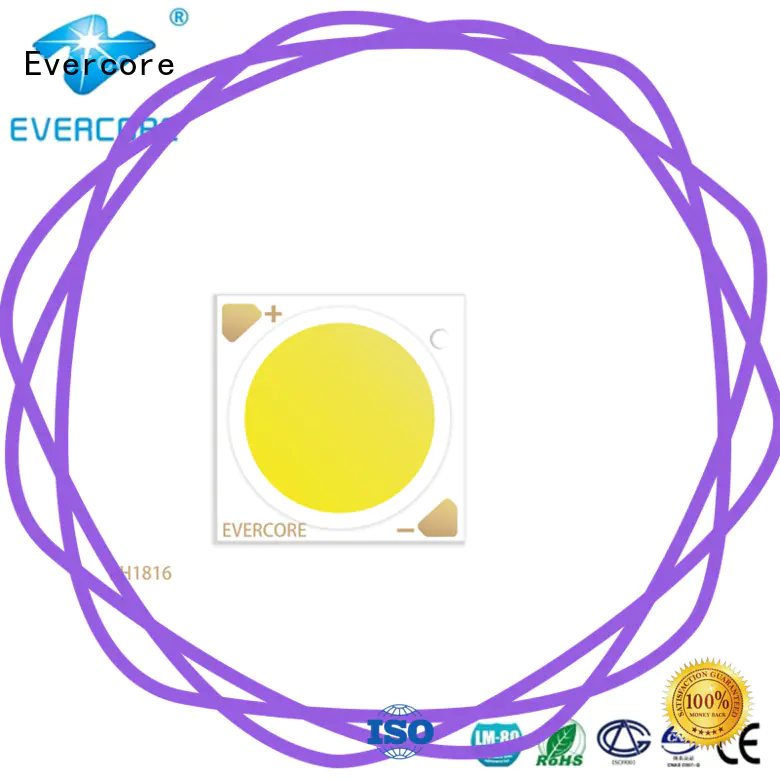 Evercore affordable led downlight kit factory for sale
