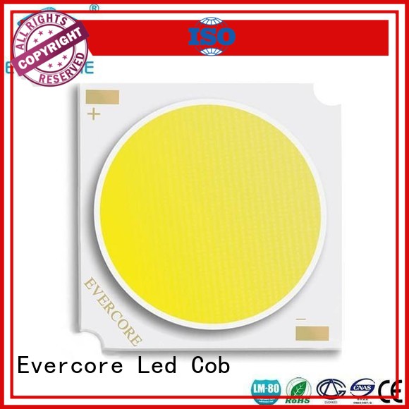 Wholesale modules certified rgb cob led Evercore Brand