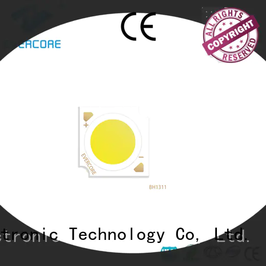 Evercore affordable downlight cob overseas market for distribution