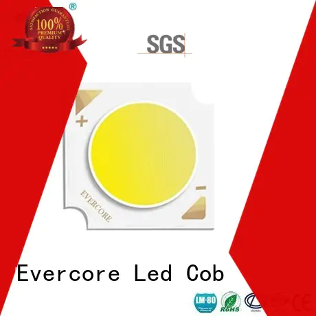 Wholesale led cob led kit Evercore Brand