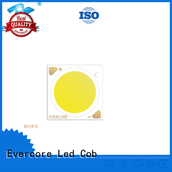 Evercore （bh1917 rgb cob led supplier for lighting