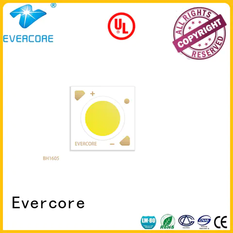Evercore hot selling cob led kit Guangdong for merchant