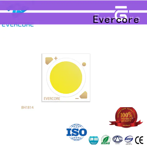 Evercore advanced technology downlight cob factory for distribution