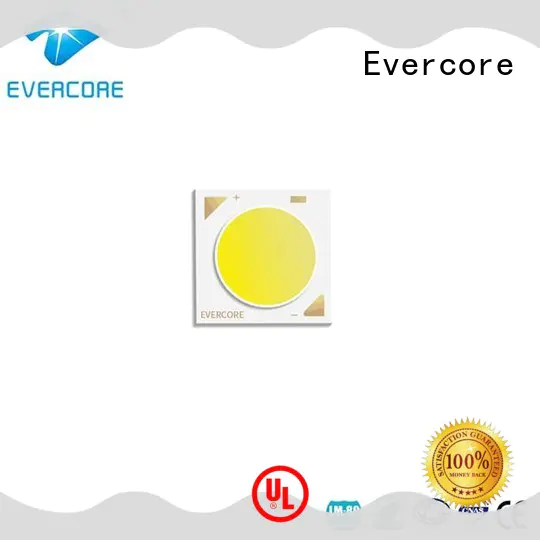Evercore easy installation led color bulk production for wholesale