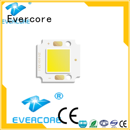 Evercore most popular outside downlights led exporter for distribution