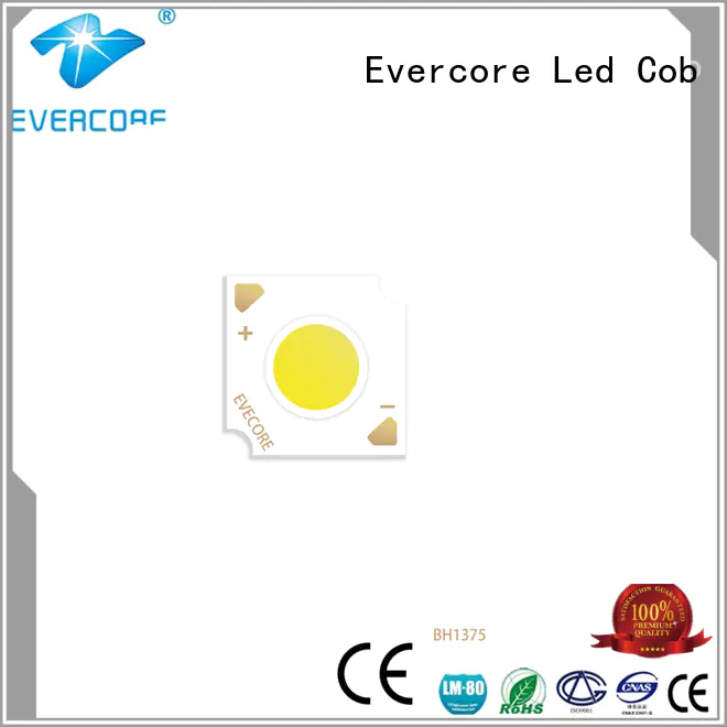 Evercore cd7947 automotive led producer for merchant