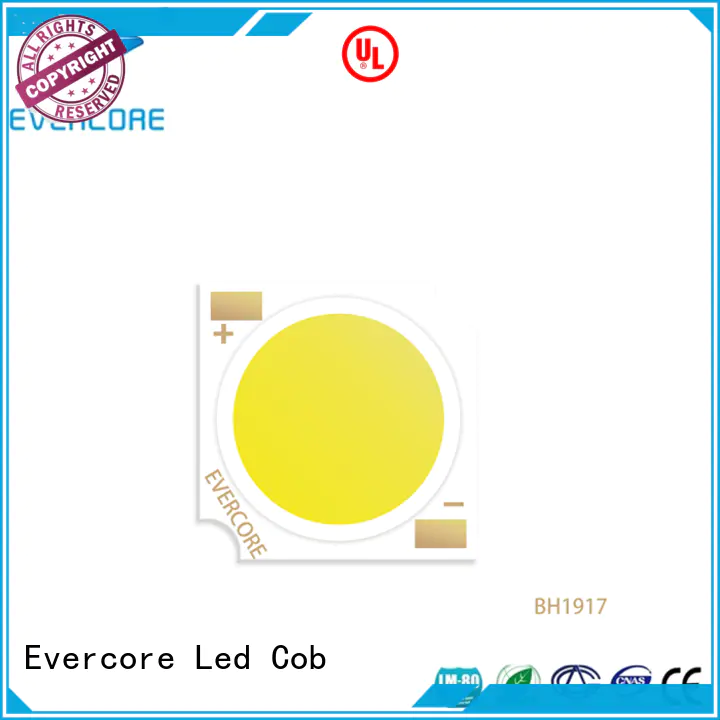 Evercore led chip cob from China for sale