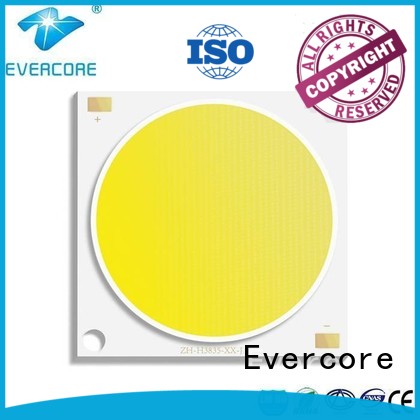 modules high lighting efficiency led High CRI Evercore Brand