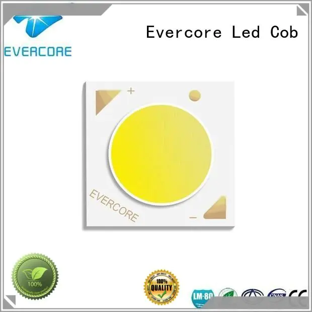 Wholesale color commercial  lighting cob leds Evercore Brand