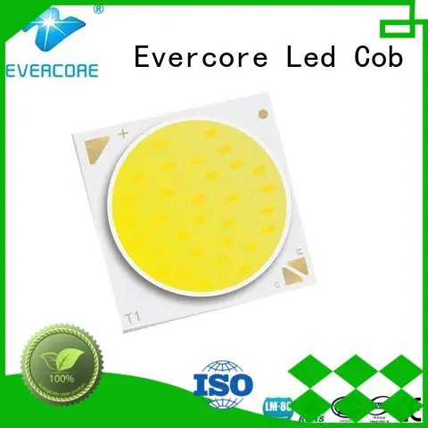 Evercore cob two color led led led
