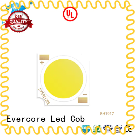 Evercore new led downlight kit customized for sale